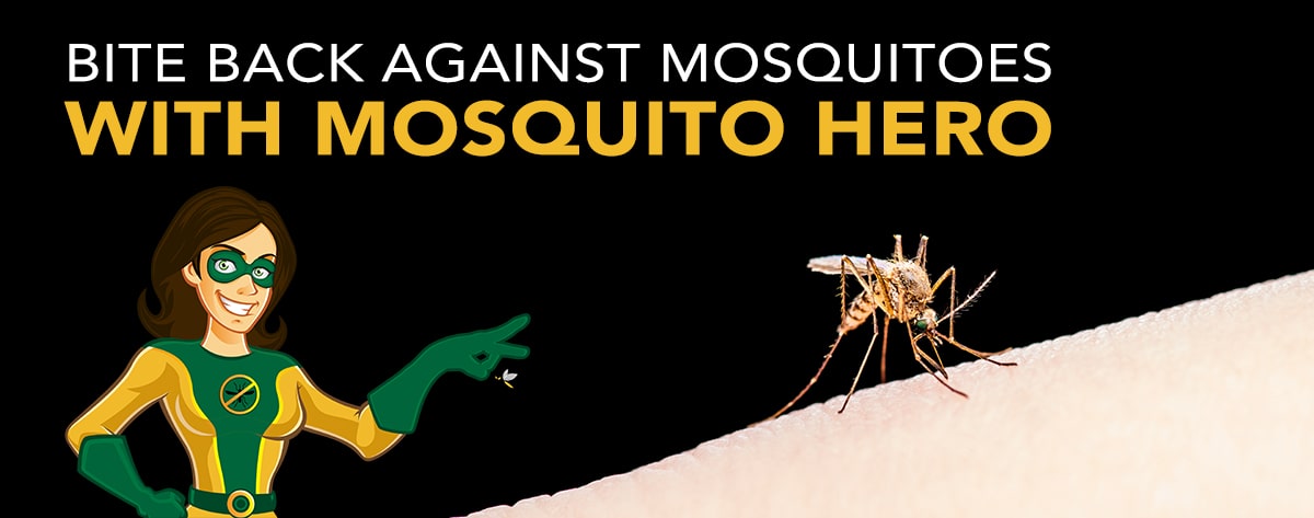 Bite Back Against Mosqutioes
